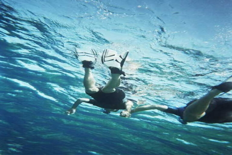 snorkel1